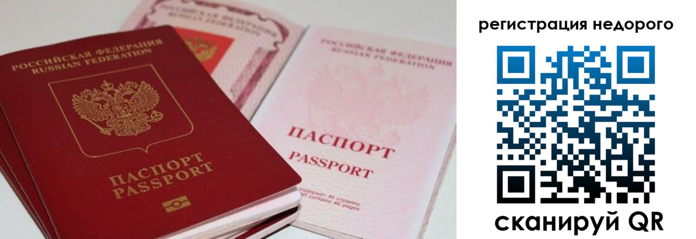прописка для школы в Волгограде